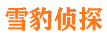 蒙城侦探调查公司